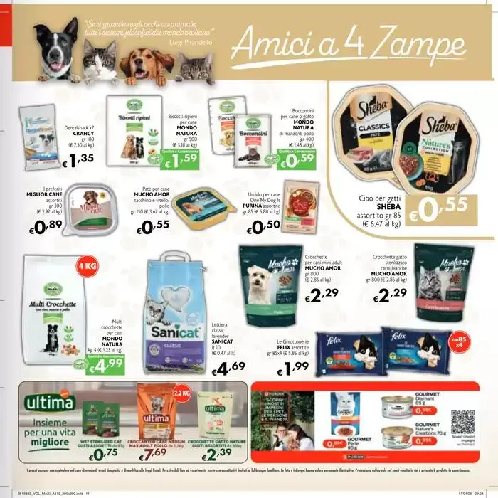 Grandi affari da 15 maggio a 10 agosto di 2025 - Pagina del volantino 11