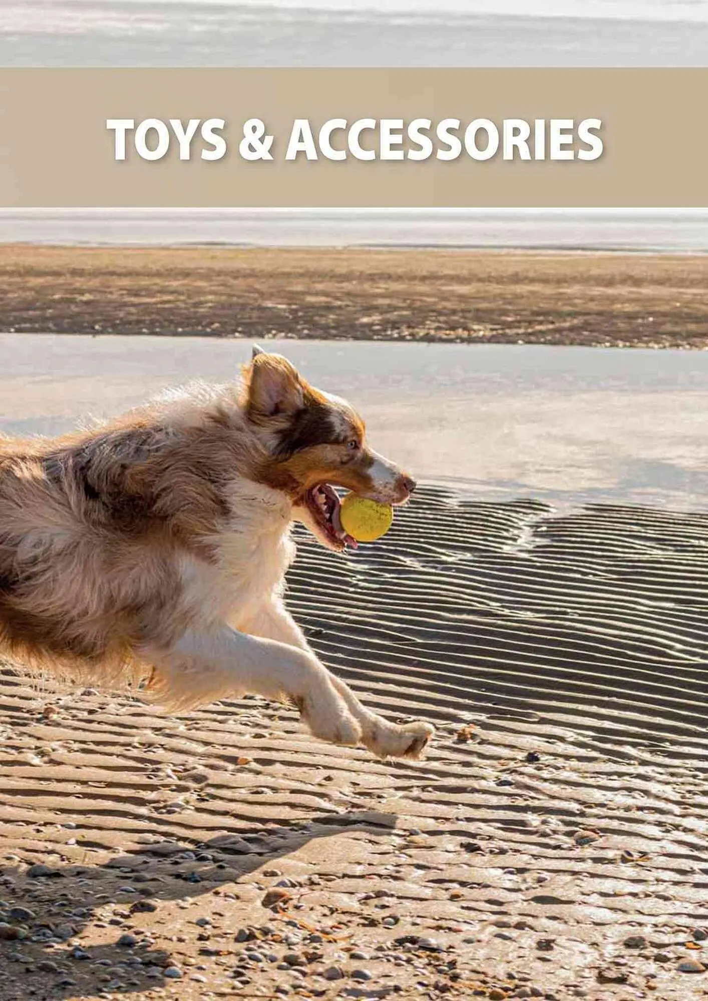 Volantino Ferplast da 25 aprile a 31 gennaio di 2025 - Pagina del volantino 335