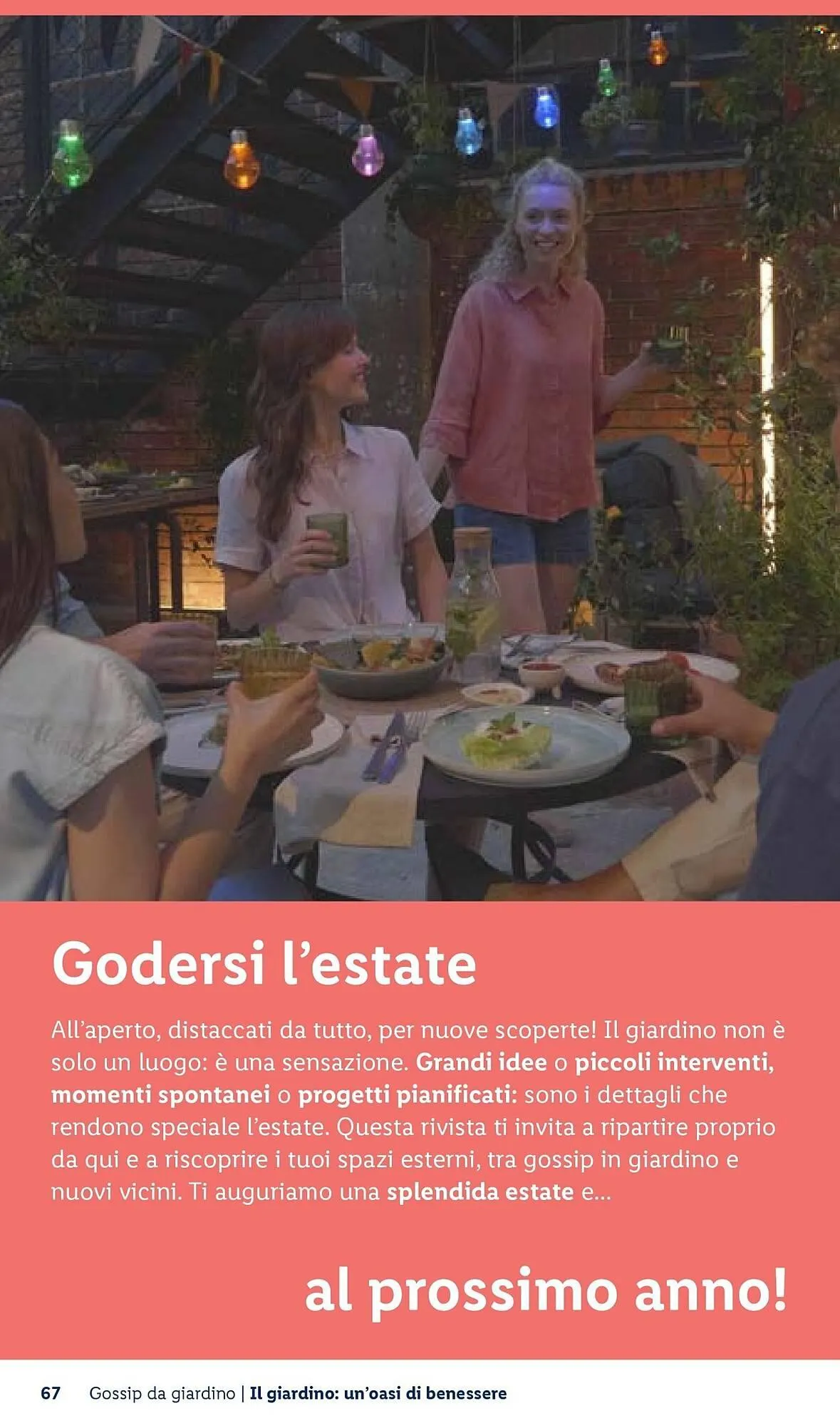 Volantino Lidl da 22 aprile a 30 aprile di 2026 - Pagina del volantino 67