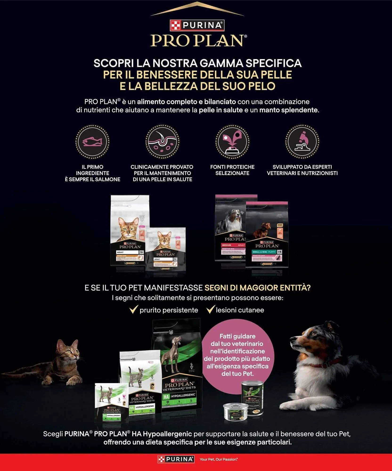 Volantino Arcaplanet da 24 novembre a 30 novembre di 2025 - Pagina del volantino 11