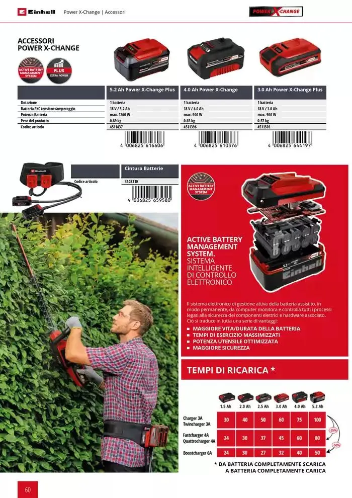 Giardinaggio 2025 da 11 febbraio a 31 dicembre di 2025 - Pagina del volantino 60