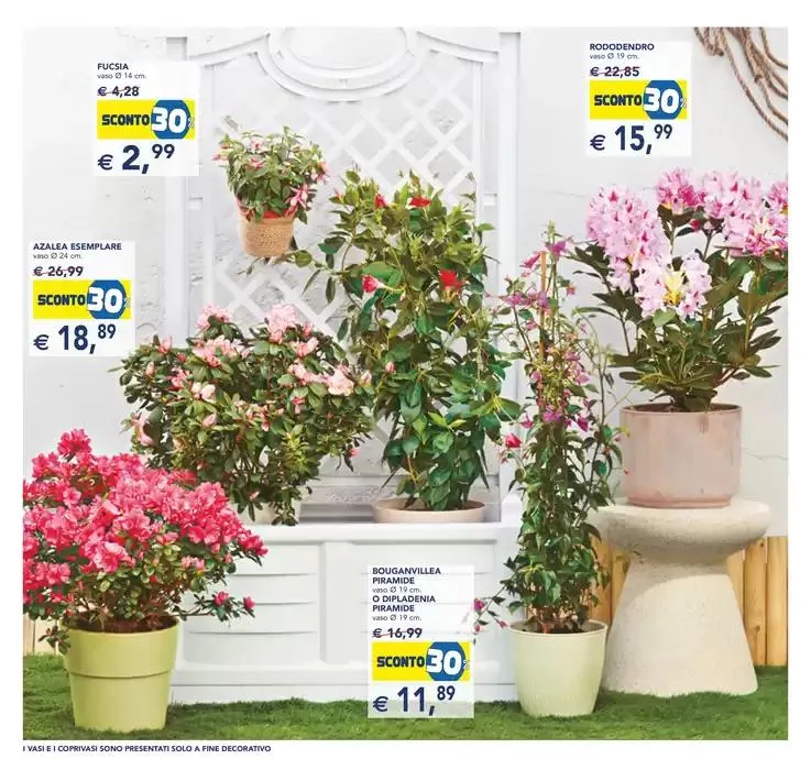 Festa dei fiori da 23 aprile a 6 maggio di 2025 - Pagina del volantino 2