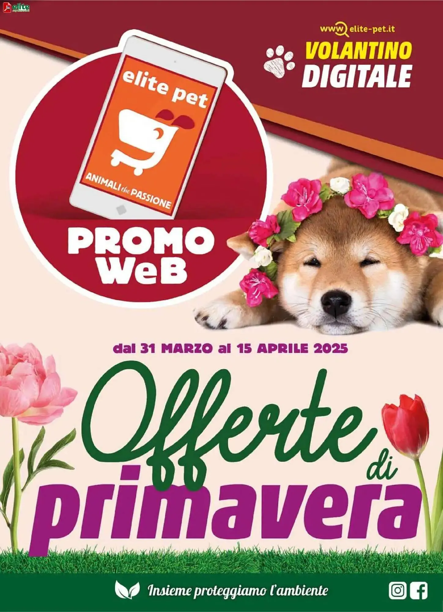 Volantino Elite da 31 marzo a 16 aprile di 2025 - Pagina del volantino 1