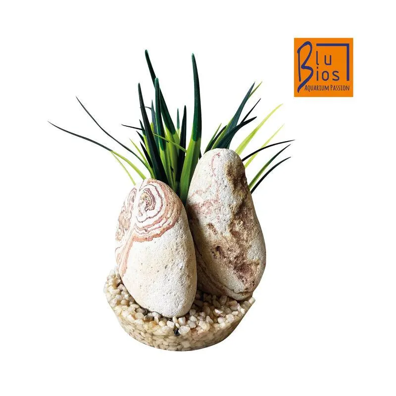 Blu Bios Decorazione Rainbow Stone con Pianta 15 cm 000185249