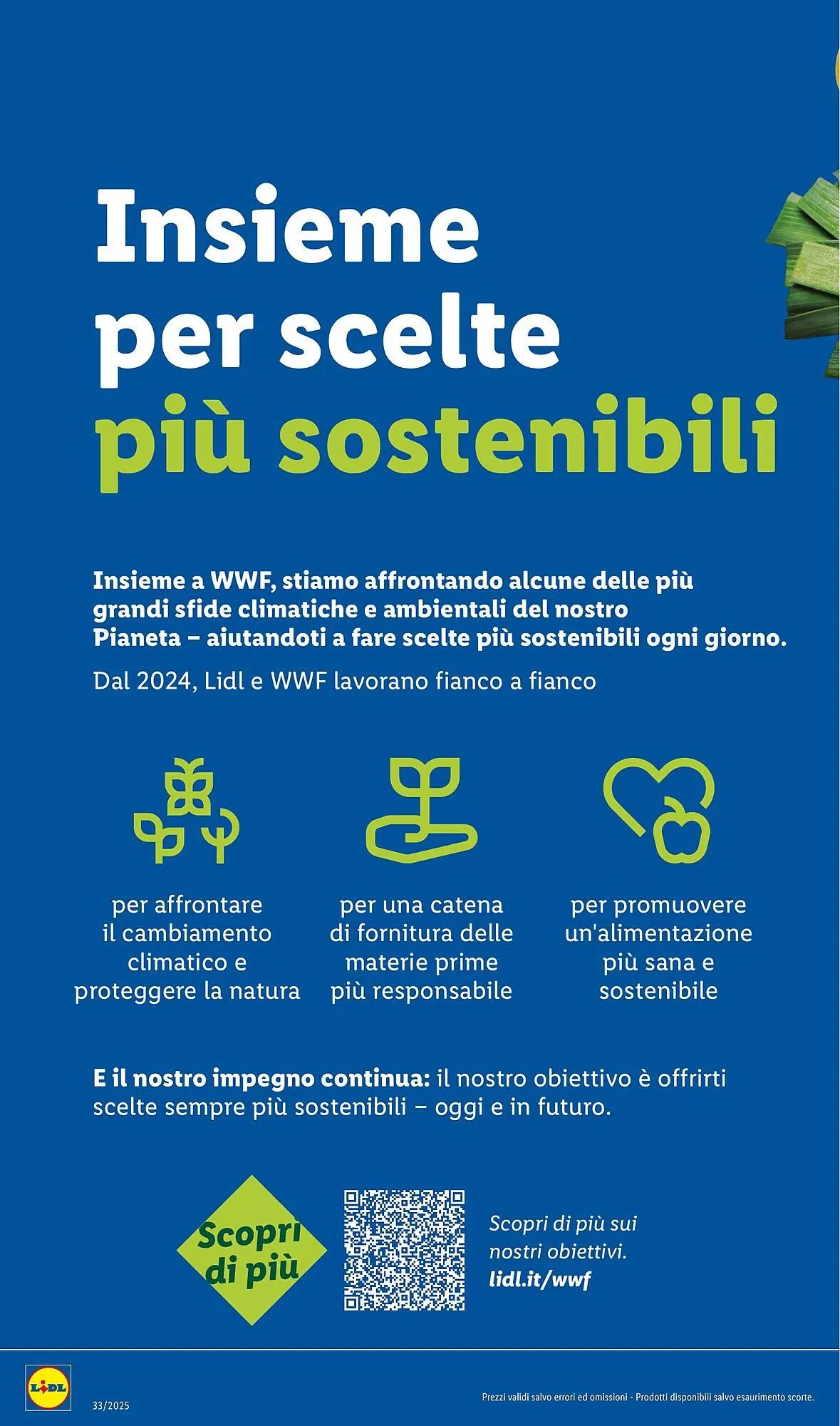 Volantino Lidl da 11 agosto a 17 agosto di 2025 - Pagina del volantino 28