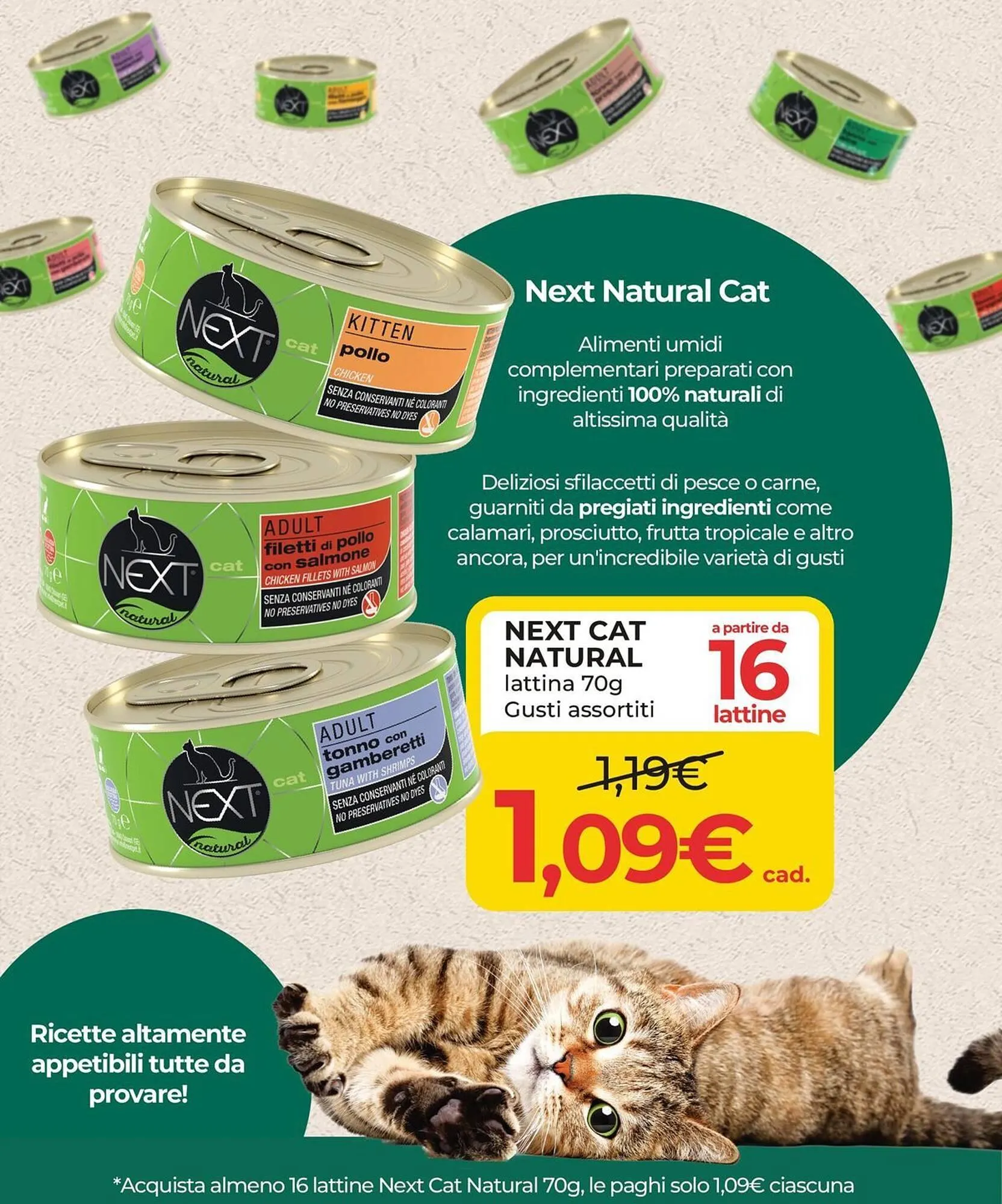 Volantino Arcaplanet da 21 luglio a 27 luglio di 2025 - Pagina del volantino 17