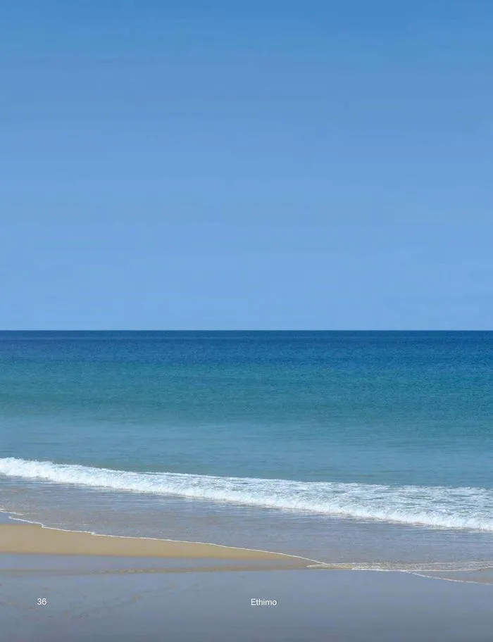 Outdoor decor collections 2024 da 1 febbraio a 30 giugno di 2024 - Pagina del volantino 38