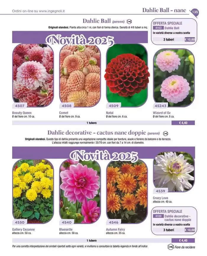 Novita da 4 novembre a 31 dicembre di 2025 - Pagina del volantino 8