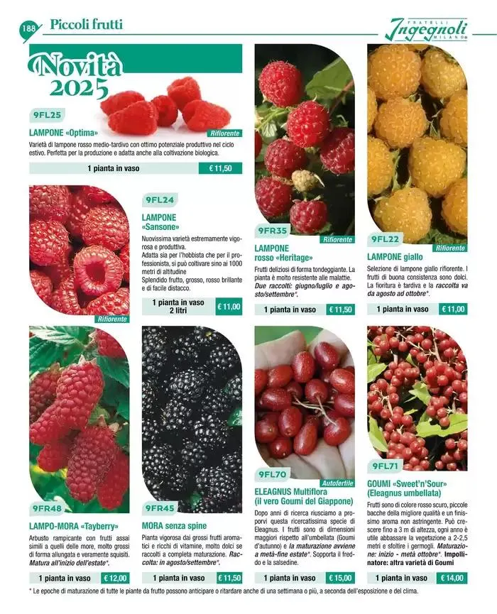 Catalogo guida 2025 da 20 gennaio a 31 dicembre di 2025 - Pagina del volantino 190