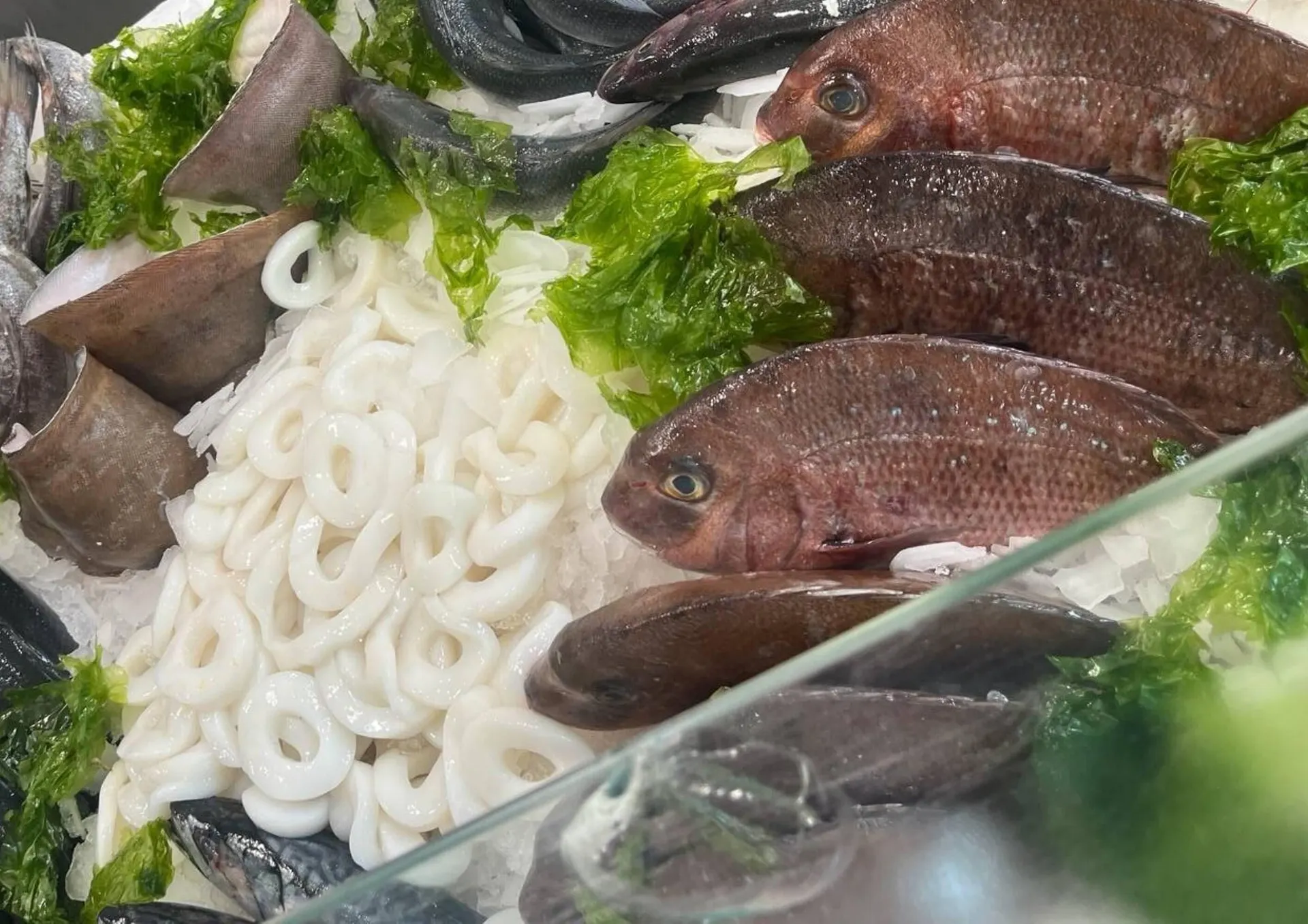 Volantino Oceano Surgelati da 10 aprile a 20 aprile di 2024 - Pagina del volantino 3