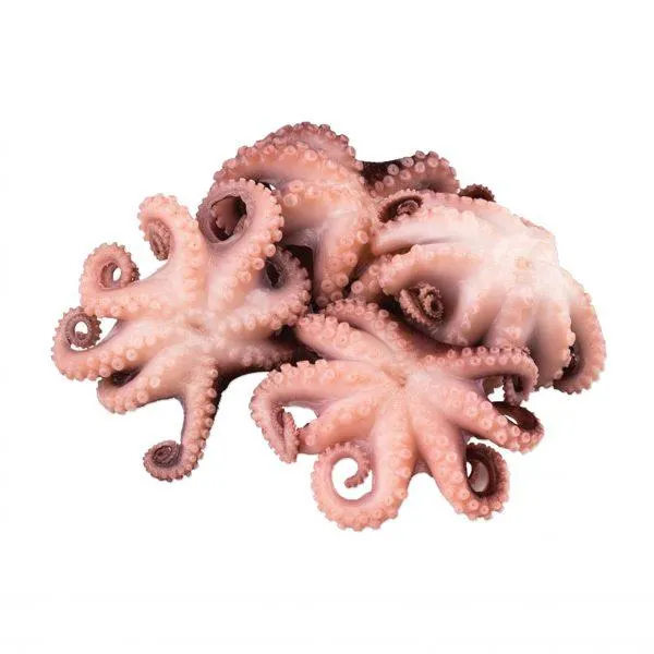 Polipetti puliti 400 g