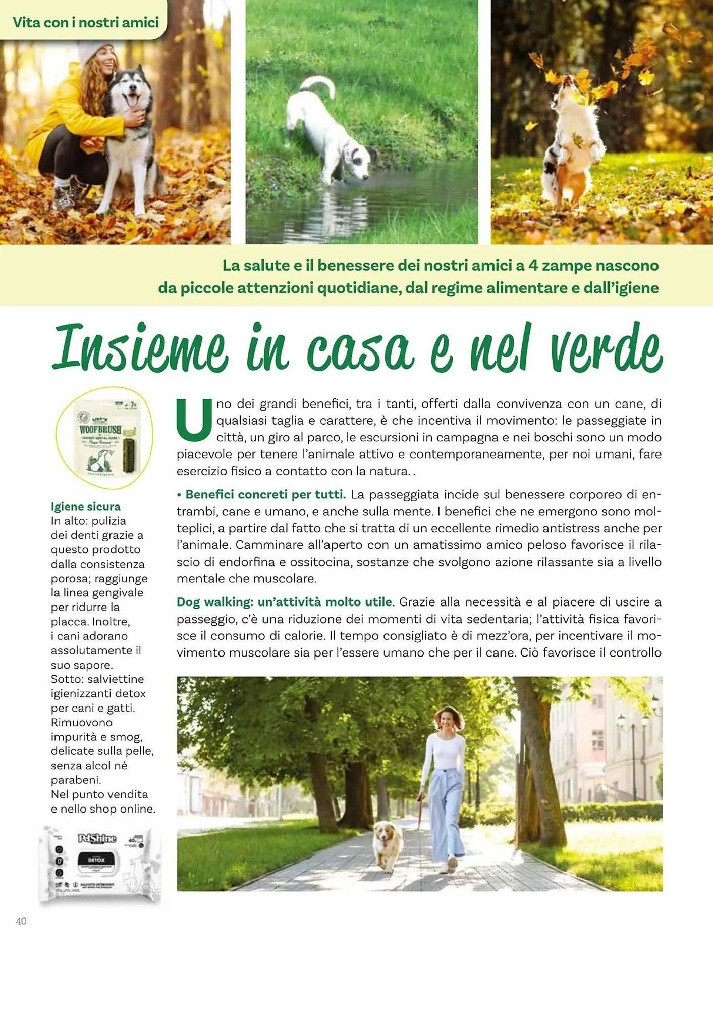 Volantino Viridea da 17 ottobre a 22 dicembre di 2025 - Pagina del volantino 40