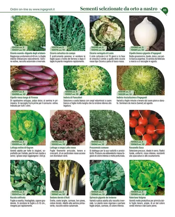 Catalogo guida 2025 da 20 gennaio a 31 dicembre di 2025 - Pagina del volantino 87