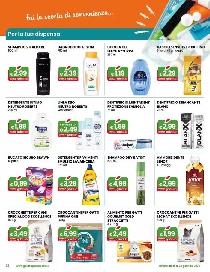 Offerte imperdibili da 15 gennaio a 28 gennaio di 2025 - Pagina del volantino 22