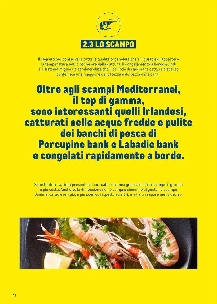 Catalogo Surgelati 2024 da 21 maggio a 31 maggio di 2025 - Pagina del volantino 36