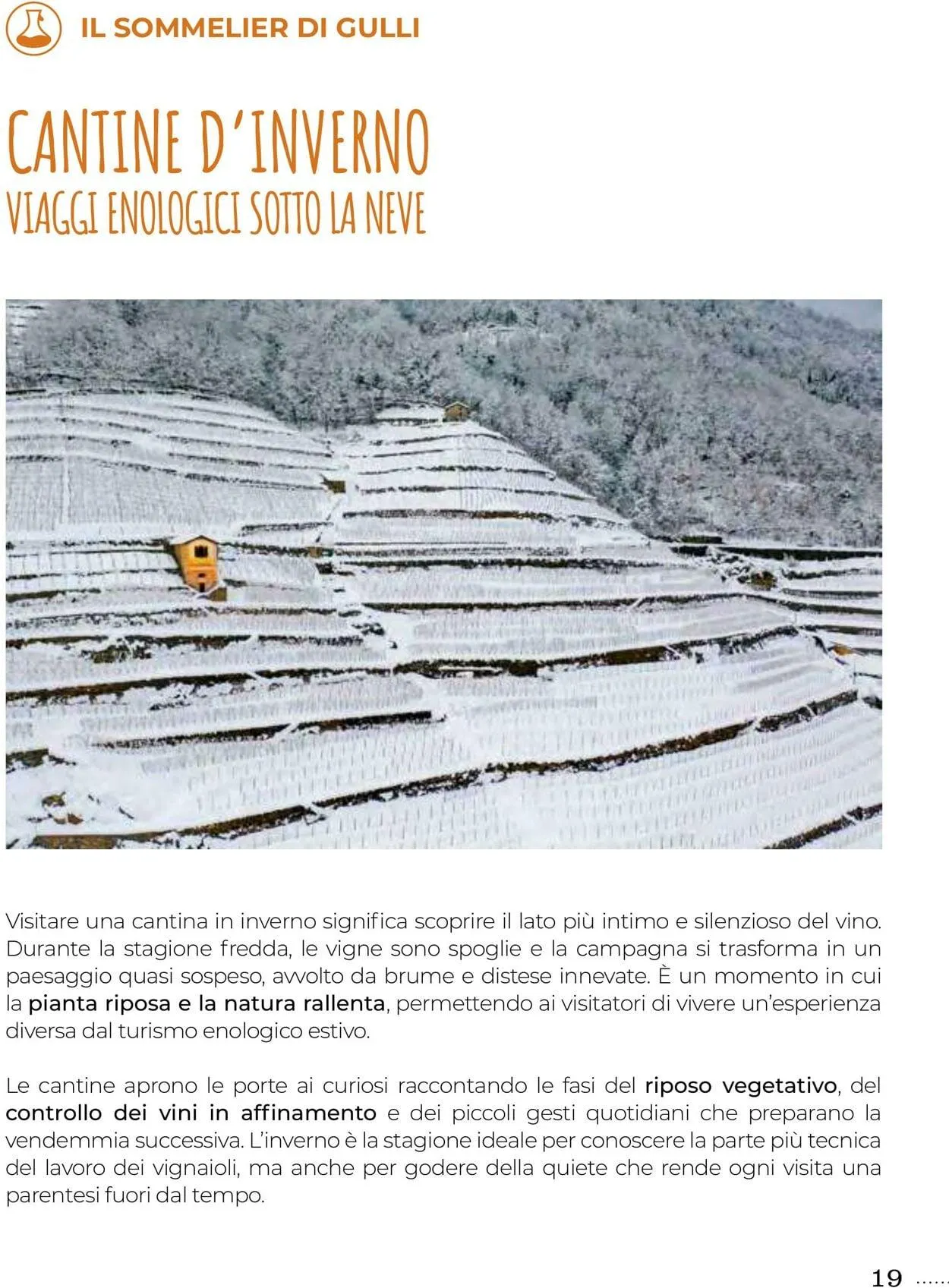 Gulliver Volantino attuale da 1 dicembre a 31 dicembre di 2025 - Pagina del volantino 19