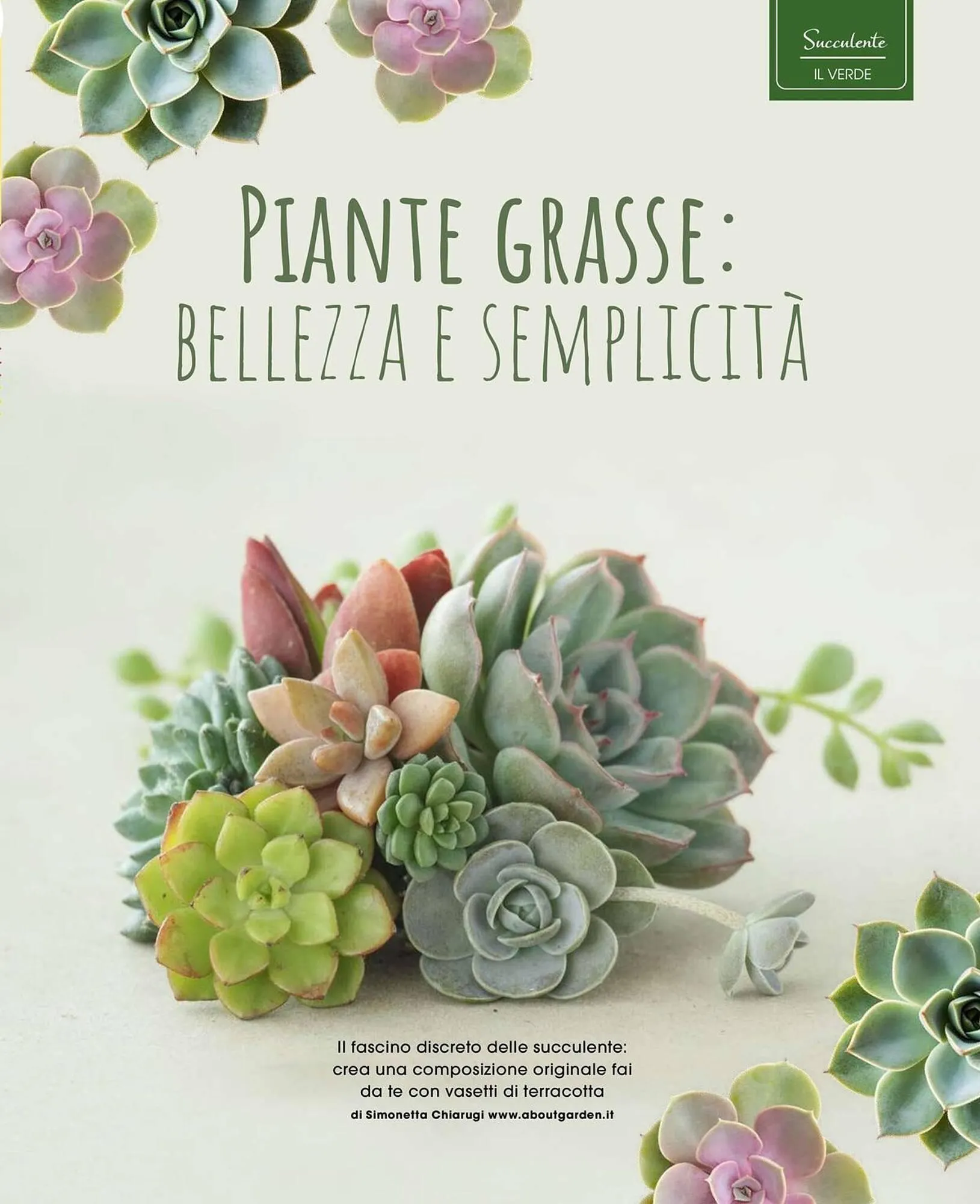 Volantino A&O da 1 luglio a 31 agosto di 2025 - Pagina del volantino 34