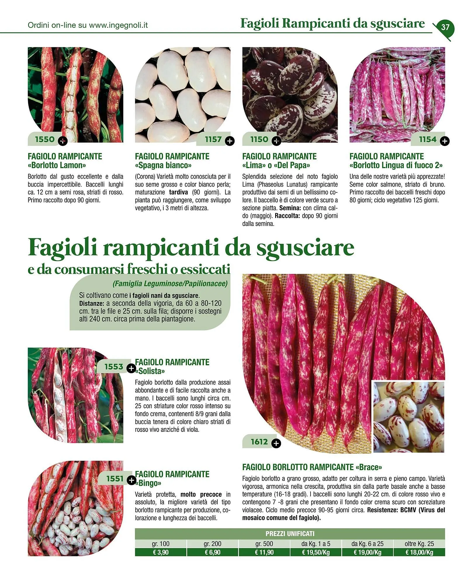 Volantino Ingegnoli da 4 novembre a 31 dicembre di 2025 - Pagina del volantino 39