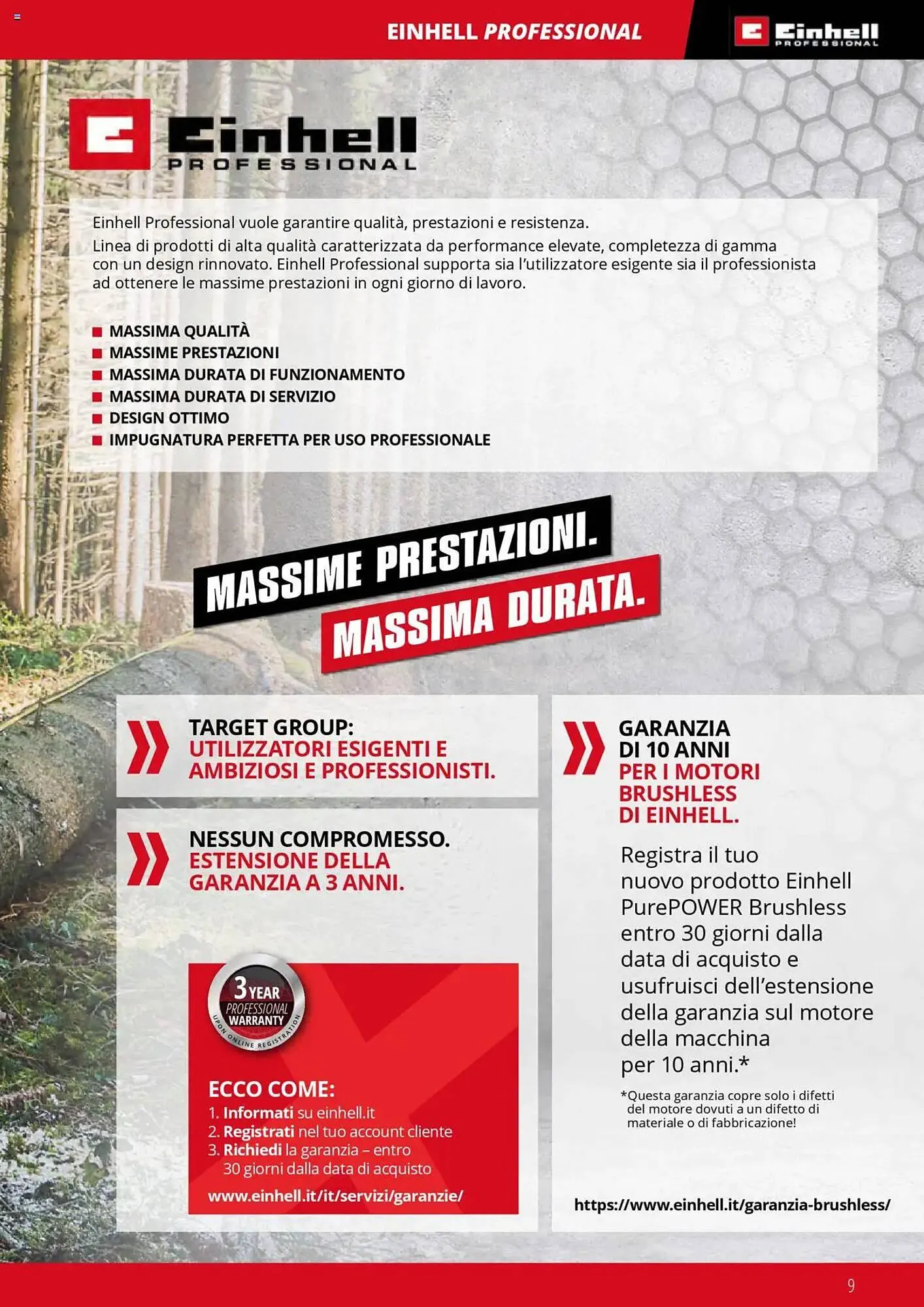 Volantino Einhell da 1 febbraio a 31 dicembre di 2025 - Pagina del volantino 9