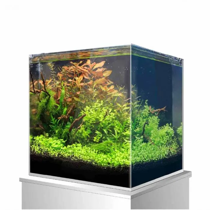 Acquario nano Aquascaping Amtra