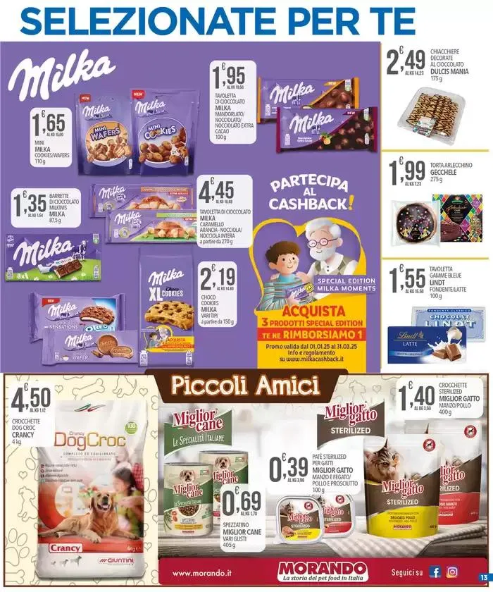 Ok Al Risparmio da 29 gennaio a 10 febbraio di 2025 - Pagina del volantino 13