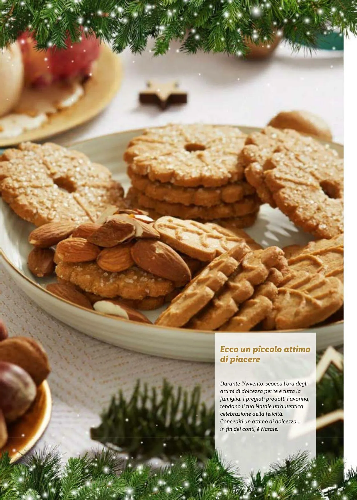 Lidl Volantino attuale da 31 dicembre a 14 gennaio di 2024 - Pagina del volantino 37