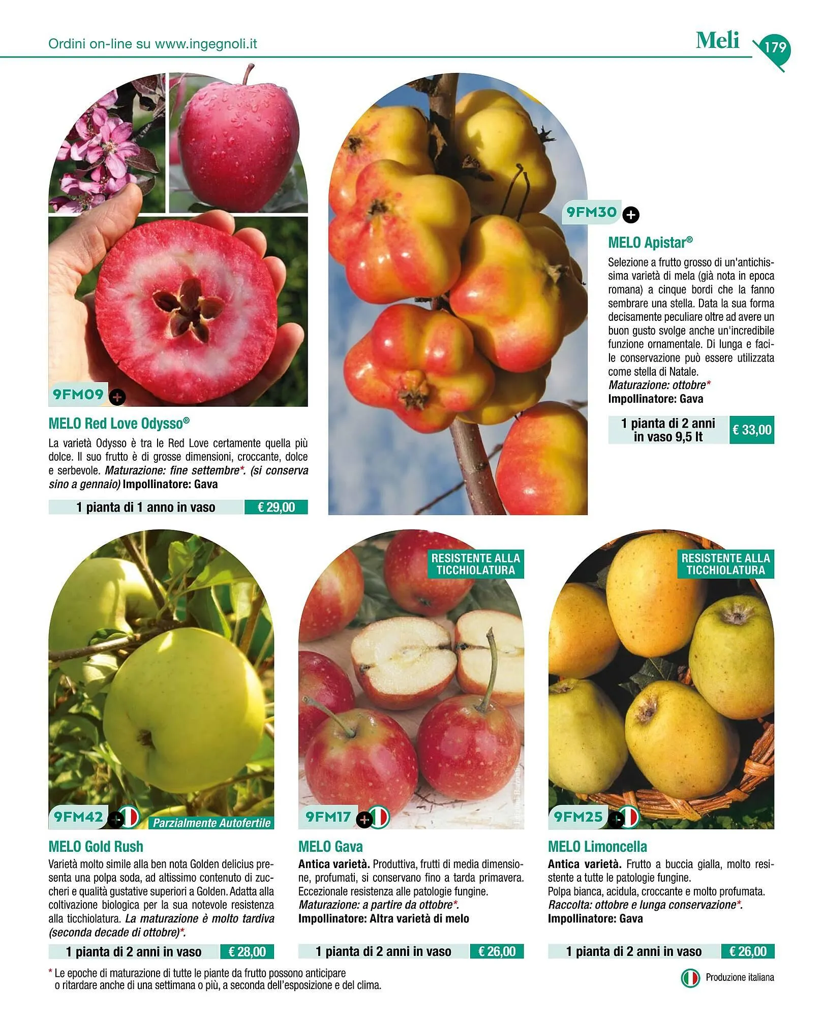 Volantino Ingegnoli da 4 novembre a 31 dicembre di 2025 - Pagina del volantino 181