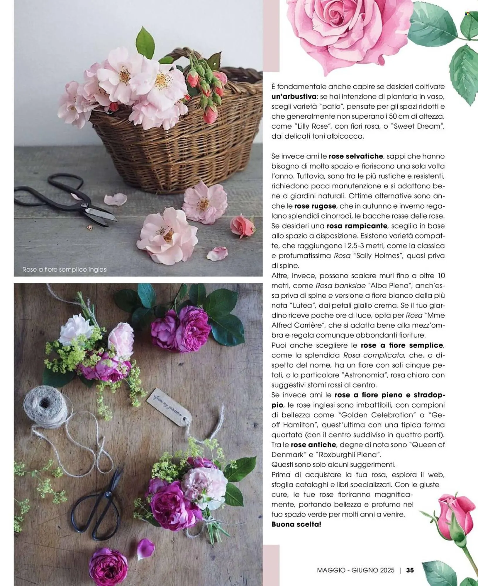 Volantino Pan da 1 maggio a 30 giugno di 2025 - Pagina del volantino 36