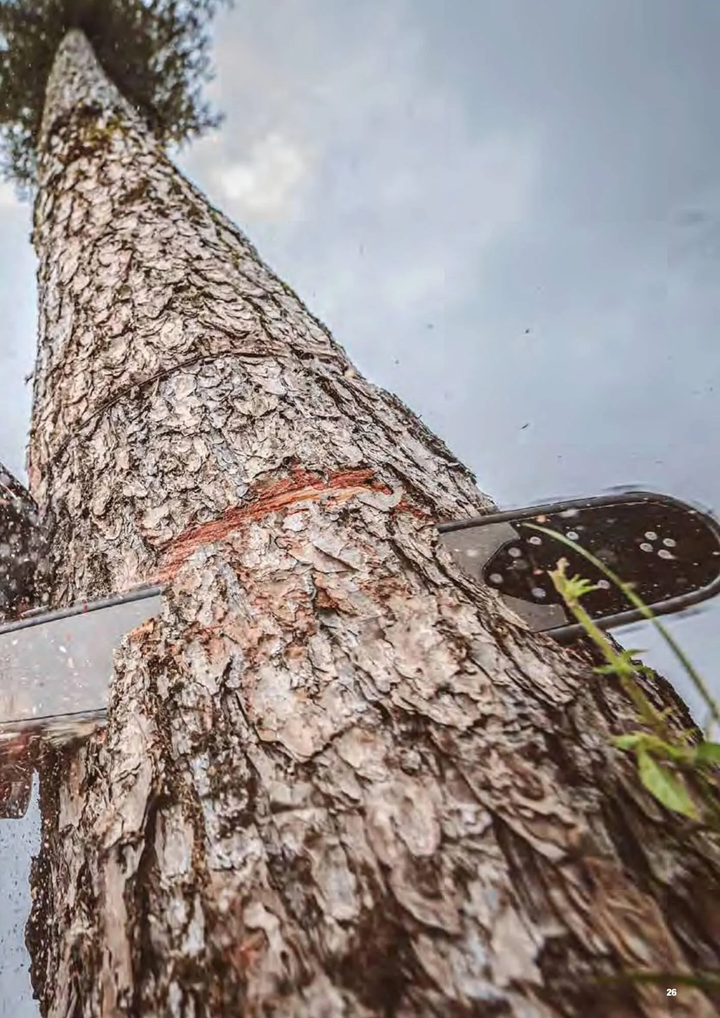 Volantino Echo da 17 febbraio a 31 dicembre di 2025 - Pagina del volantino 27