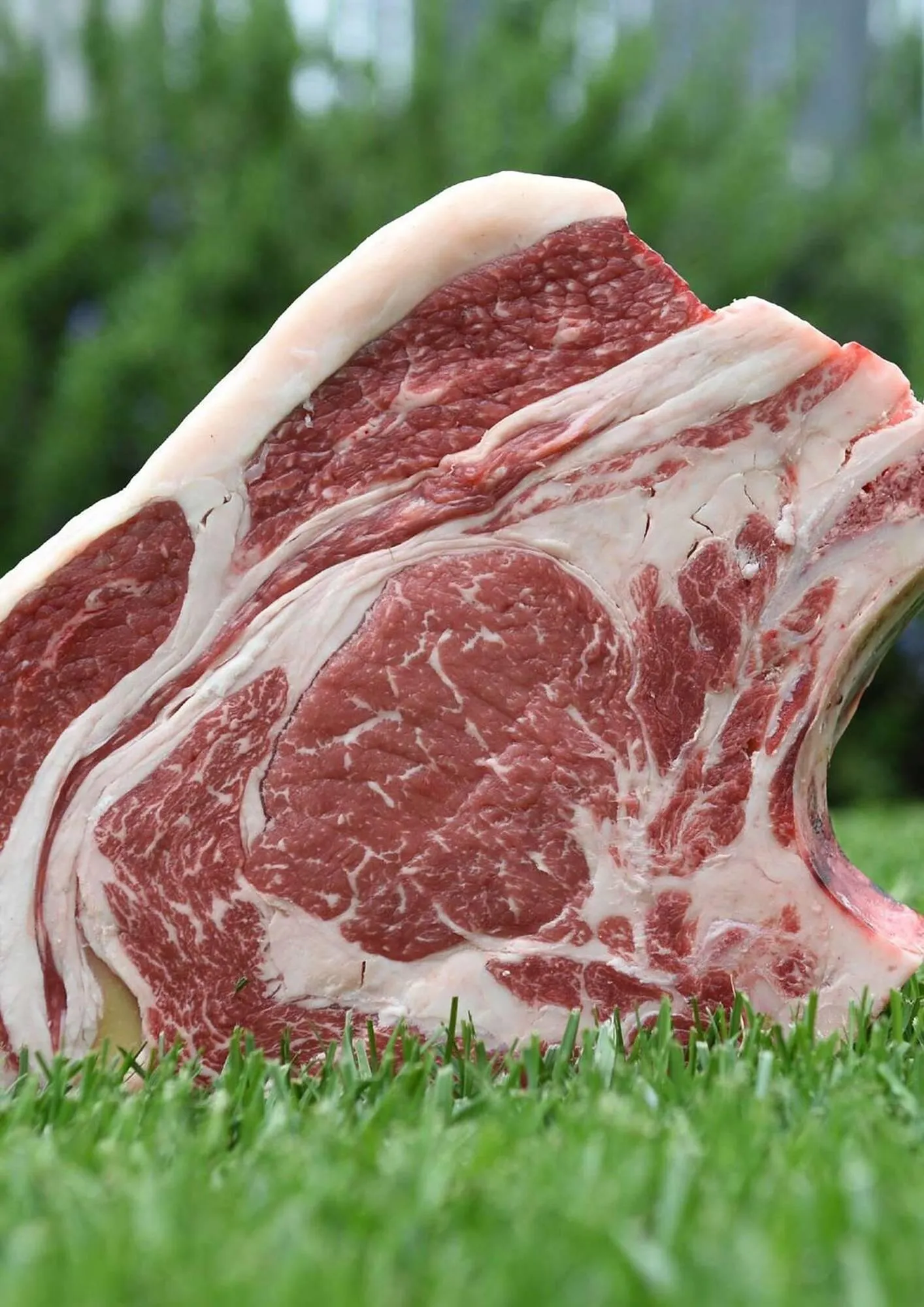 Volantino Centro Carne da 21 novembre a 31 dicembre di 2025 - Pagina del volantino 20