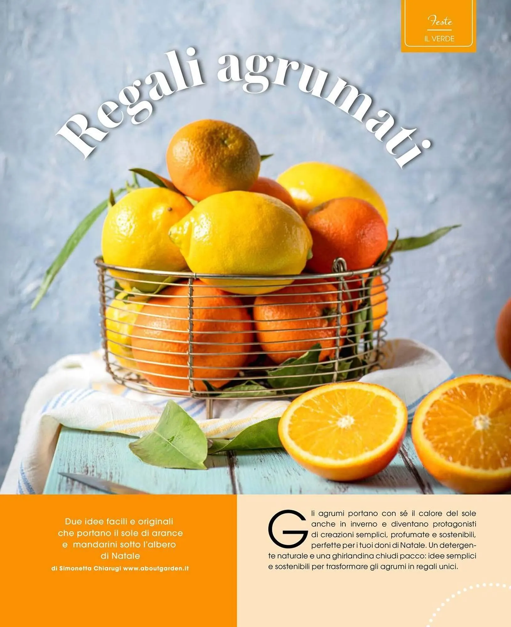 Volantino A&O da 1 novembre a 31 dicembre di 2025 - Pagina del volantino 64