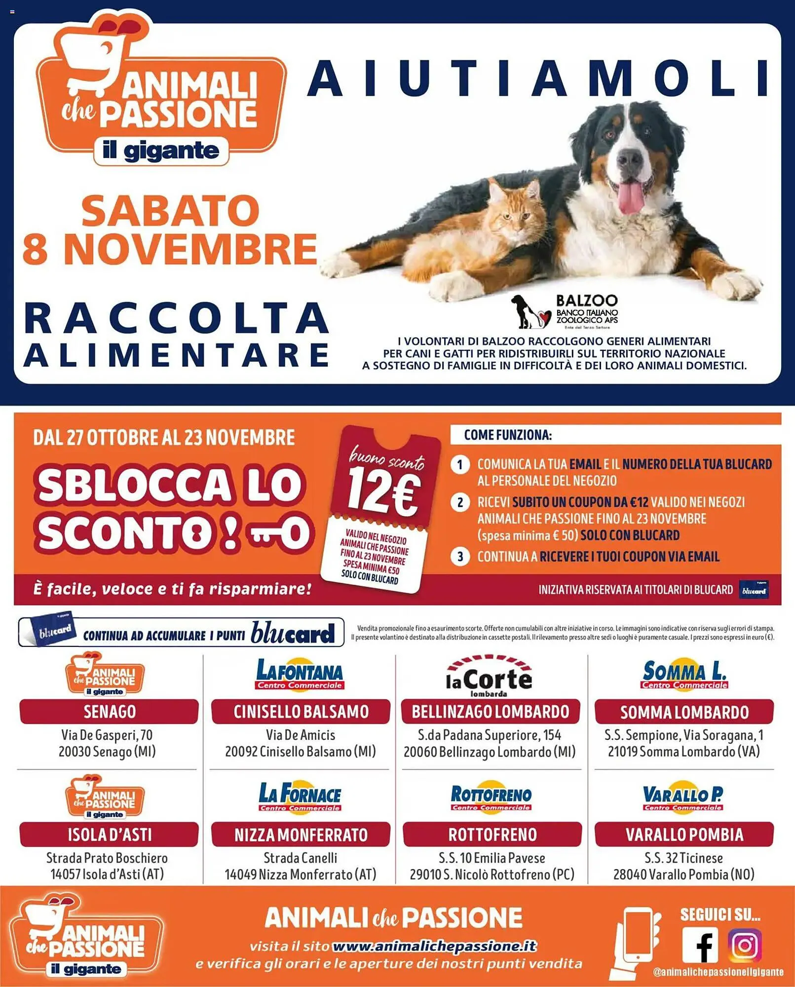 Volantino Il Gigante da 27 ottobre a 23 novembre di 2025 - Pagina del volantino 8