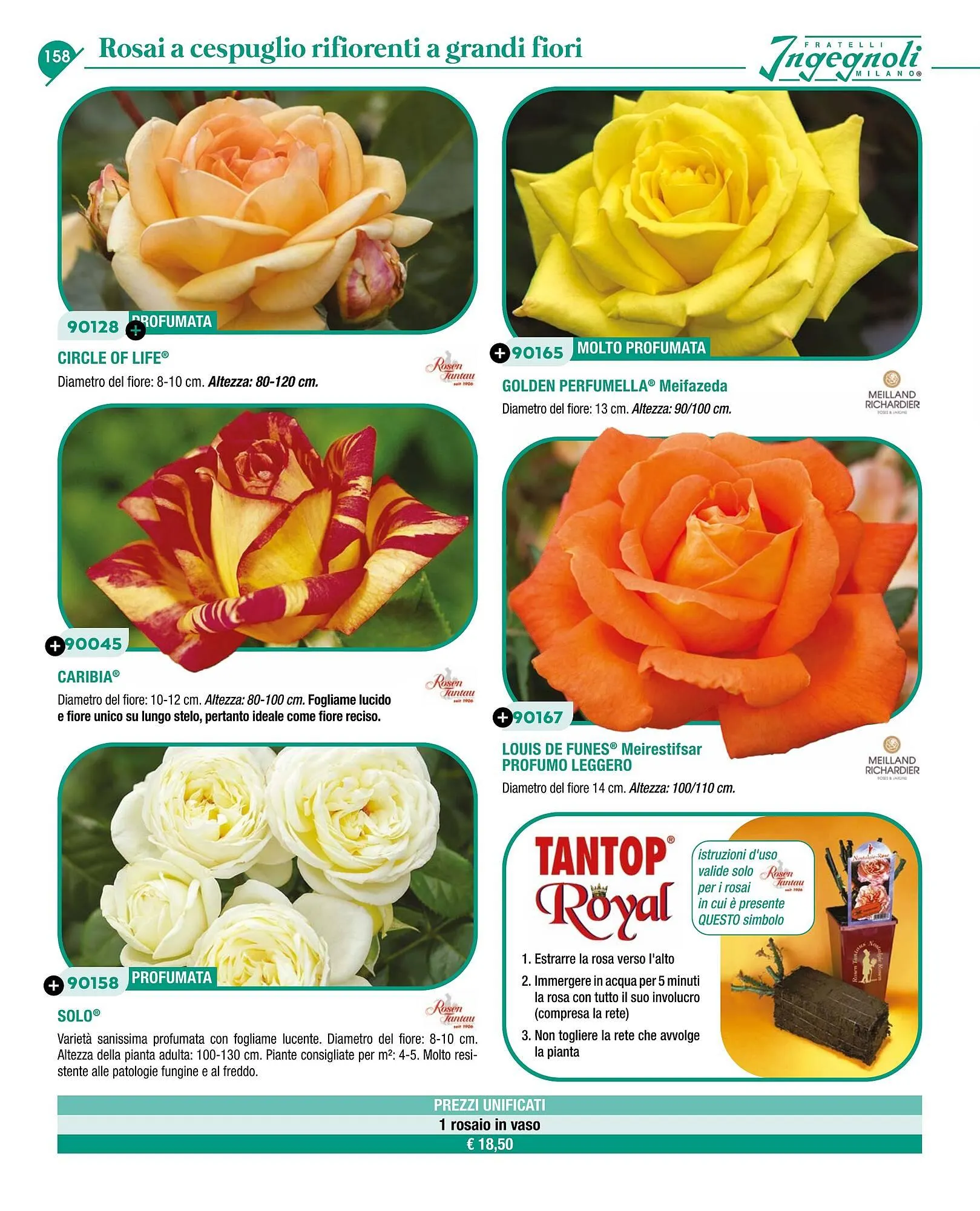 Volantino Ingegnoli da 4 novembre a 31 dicembre di 2025 - Pagina del volantino 160