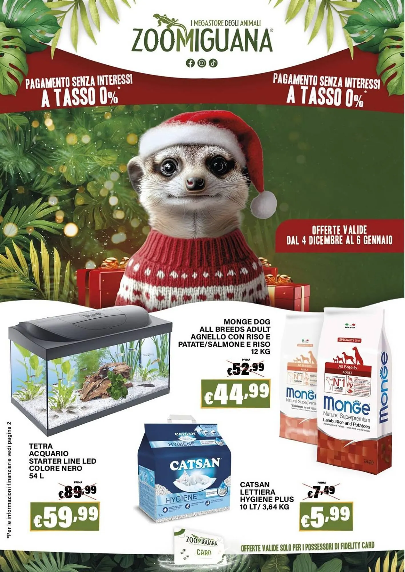 Volantino Zoomiguana - 1