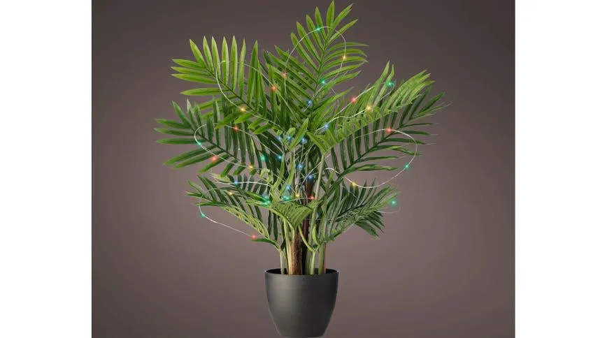 Microled luce multicolore per pianta 40 LED