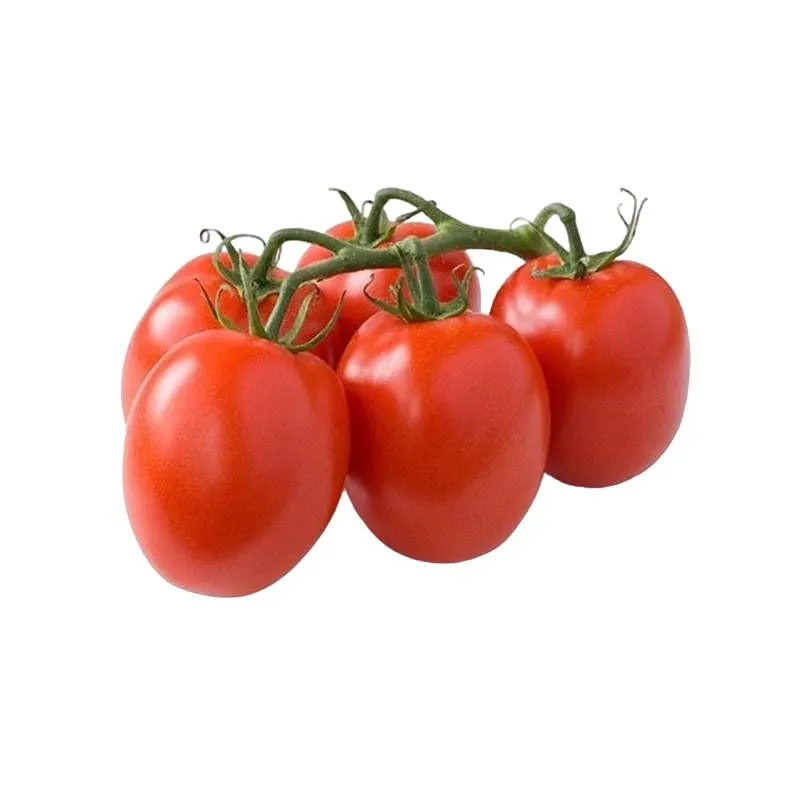 Pomodoro Piccadilly 1 kg