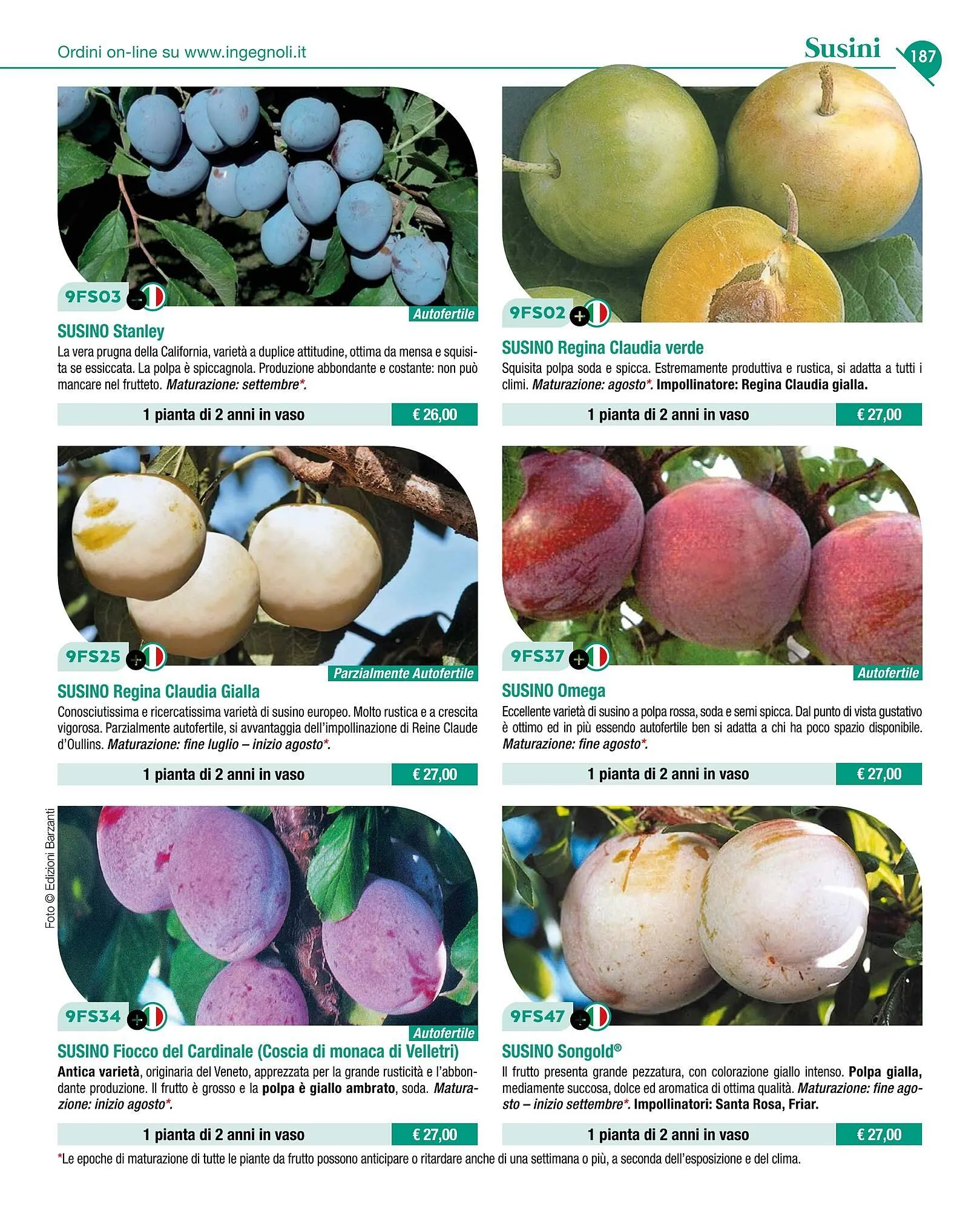 Volantino Ingegnoli da 4 novembre a 31 dicembre di 2025 - Pagina del volantino 189