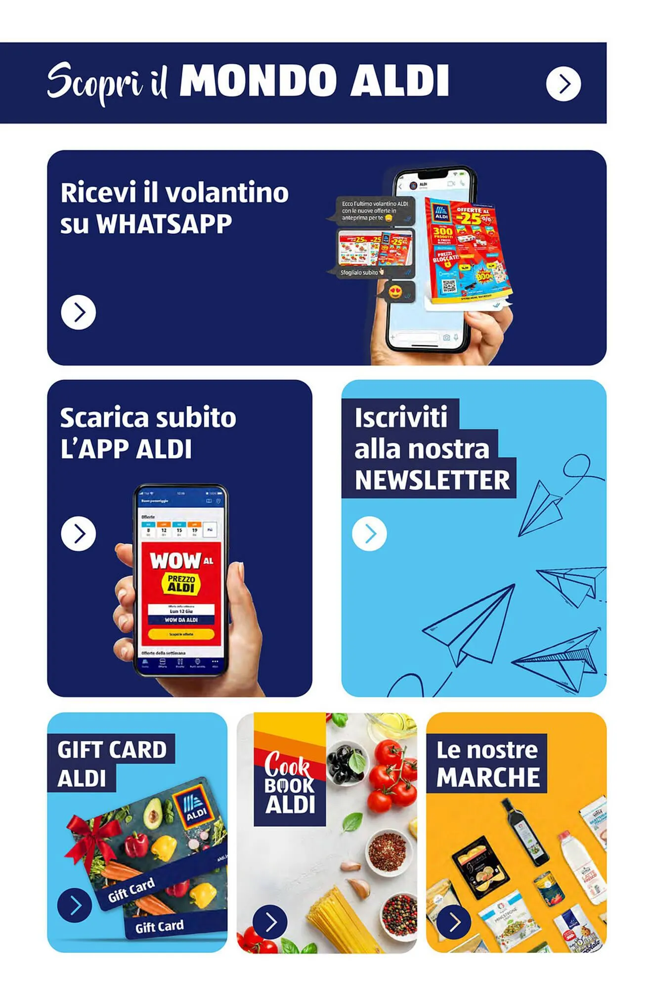 Volantino ALDI da 9 novembre a 3 gennaio di 2026 - Pagina del volantino 65