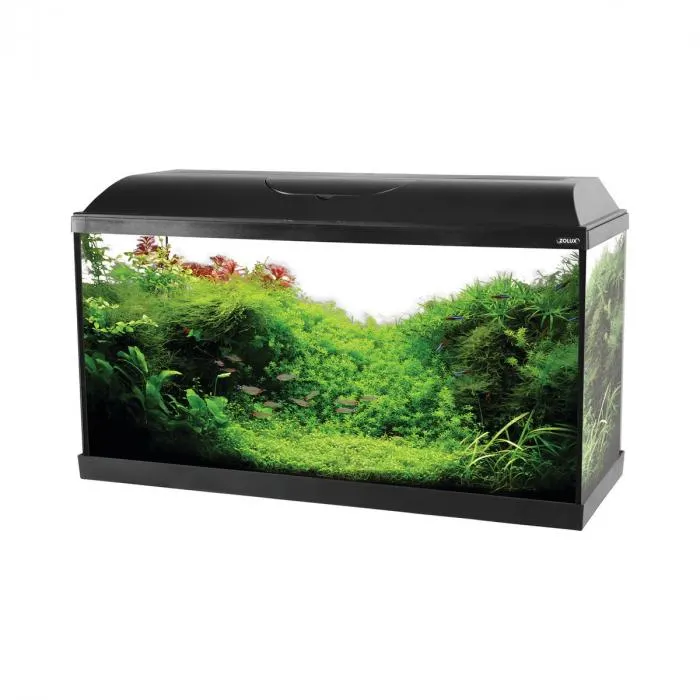 Acquario iseo nero 80 L