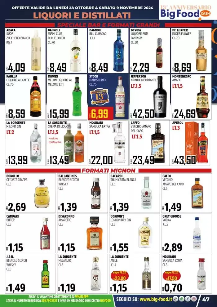 Festeggiamo il nostro 13 anniversario da 28 ottobre a 9 novembre di 2024 - Pagina del volantino 47