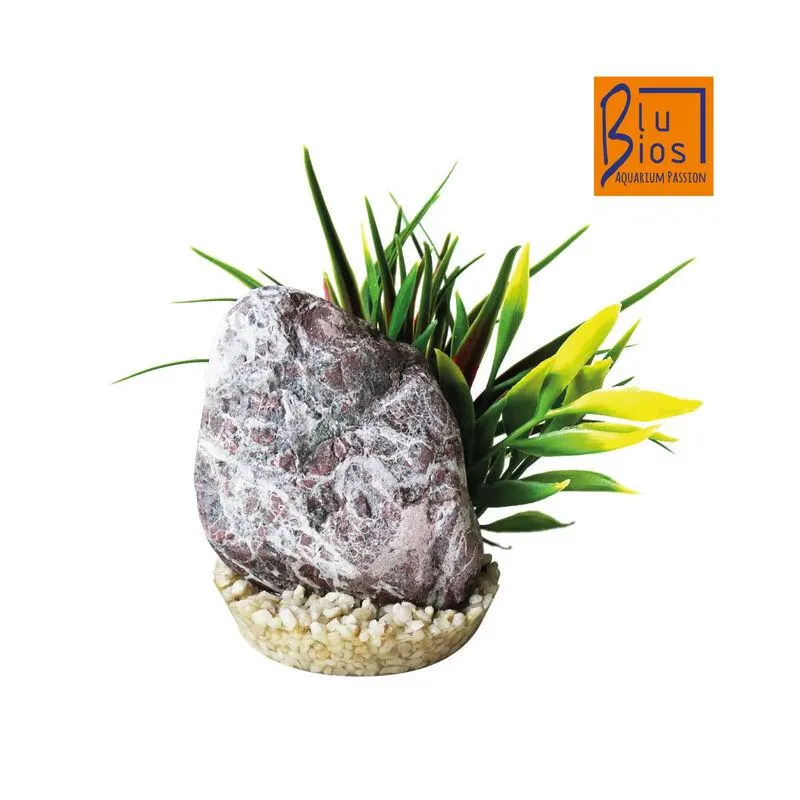 Blu Bios Decorazione Zebra Stone con Pianta 15 cm 000185250