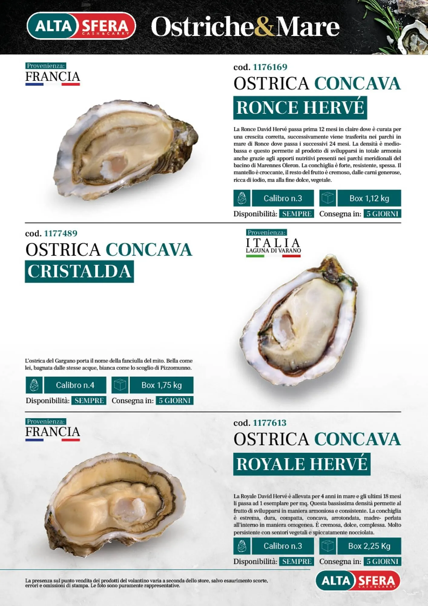 Volantino Altasfera da 14 aprile a 31 dicembre di 2025 - Pagina del volantino 17