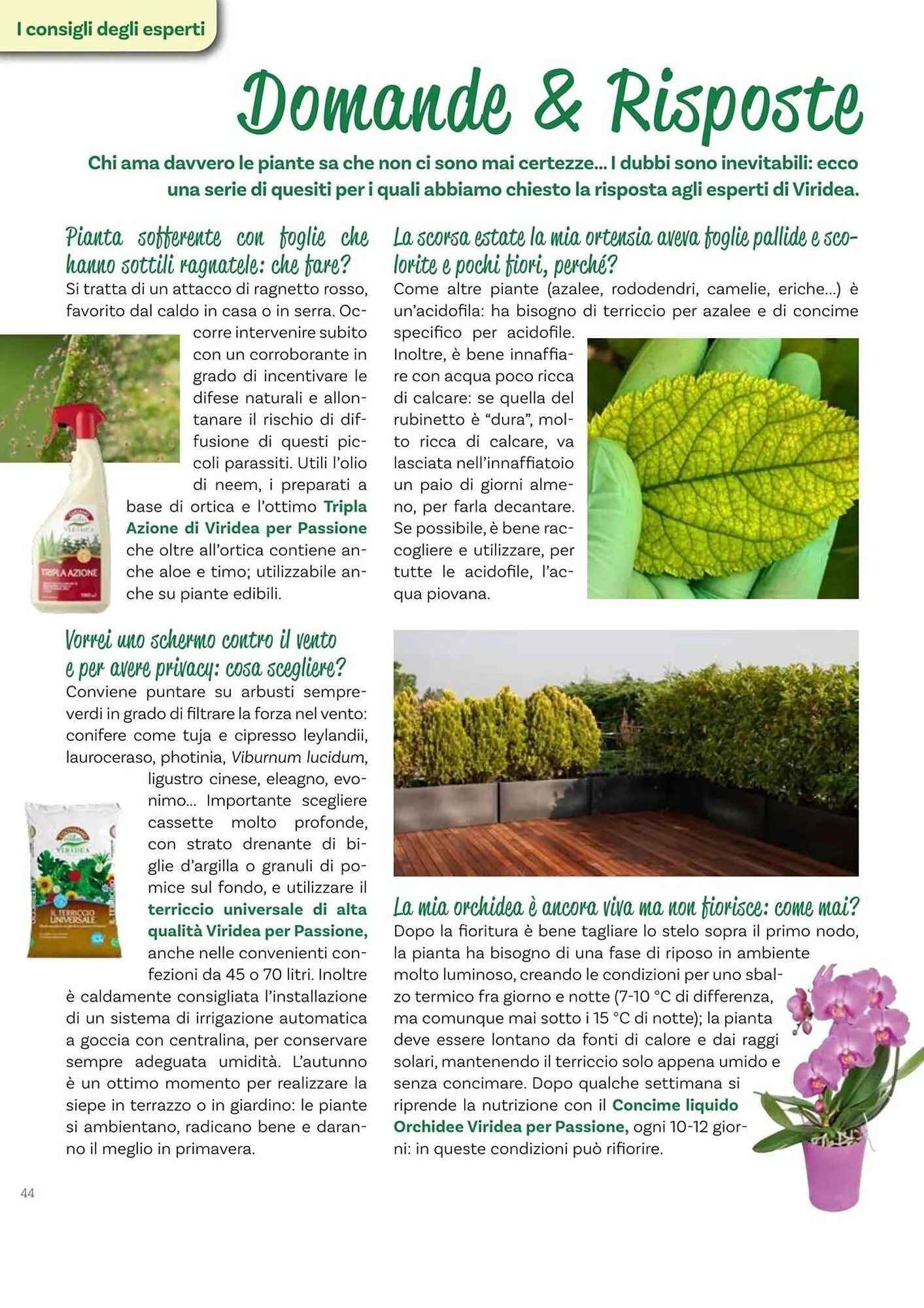 Volantino Viridea da 17 ottobre a 22 dicembre di 2025 - Pagina del volantino 44