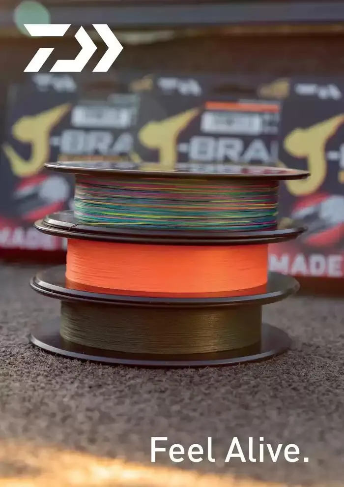 Catalogo 2025 da 4 febbraio a 31 dicembre di 2025 - Pagina del volantino 170