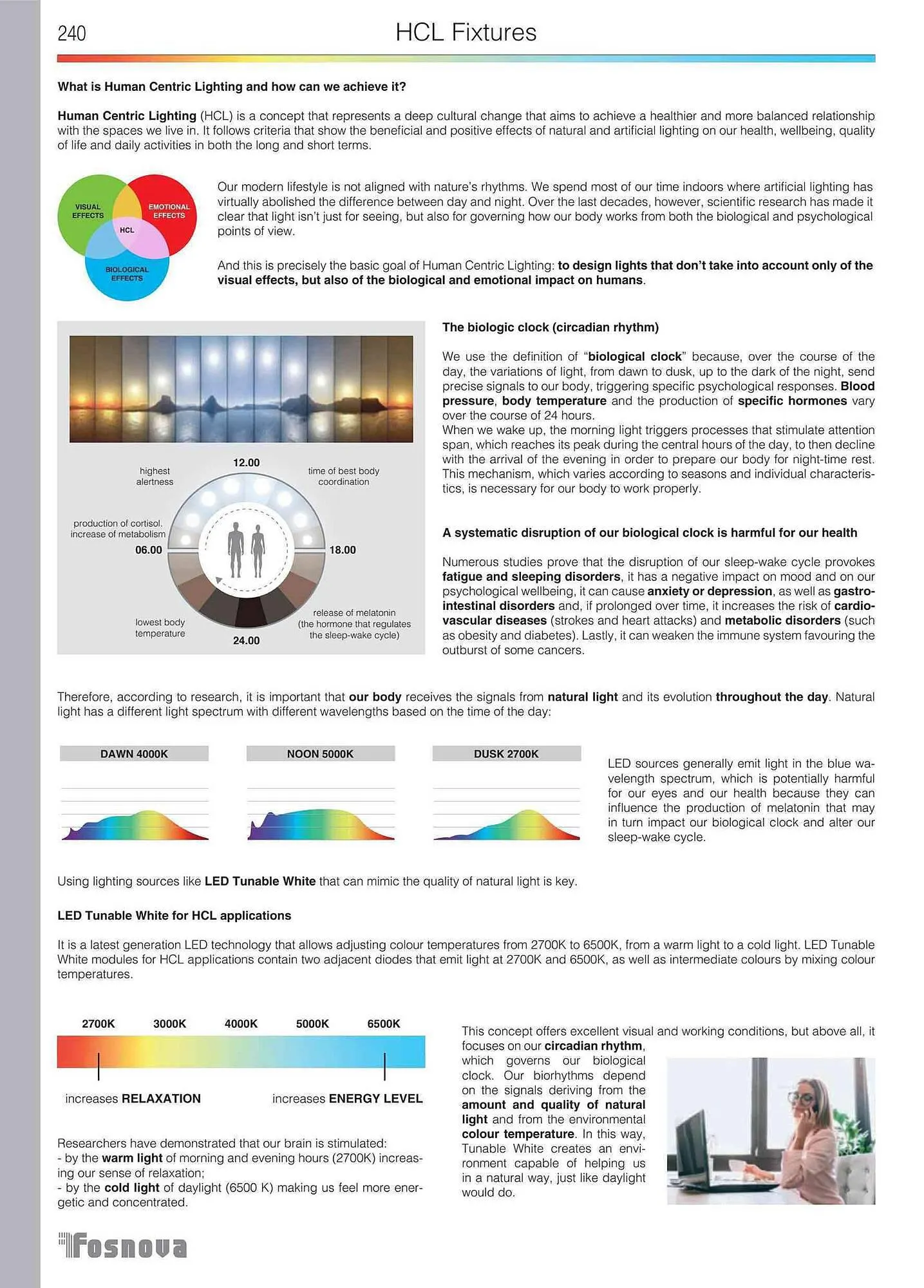 Volantino Disano da 12 giugno a 31 gennaio di 2024 - Pagina del volantino 242