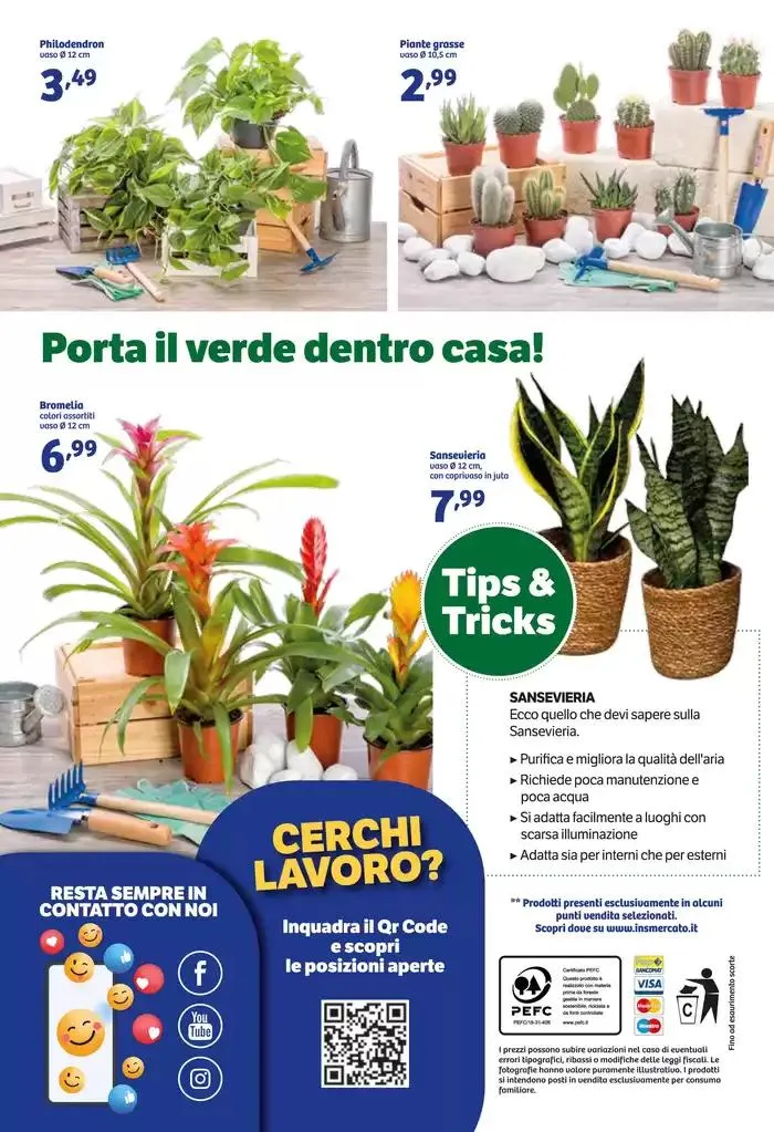 Inziamo l'anno in belleza! da 3 gennaio a 12 gennaio di 2025 - Pagina del volantino 13