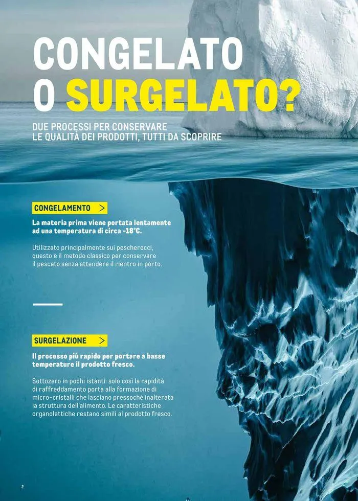 Catalogo Surgelati 2024 da 21 maggio a 31 maggio di 2025 - Pagina del volantino 2