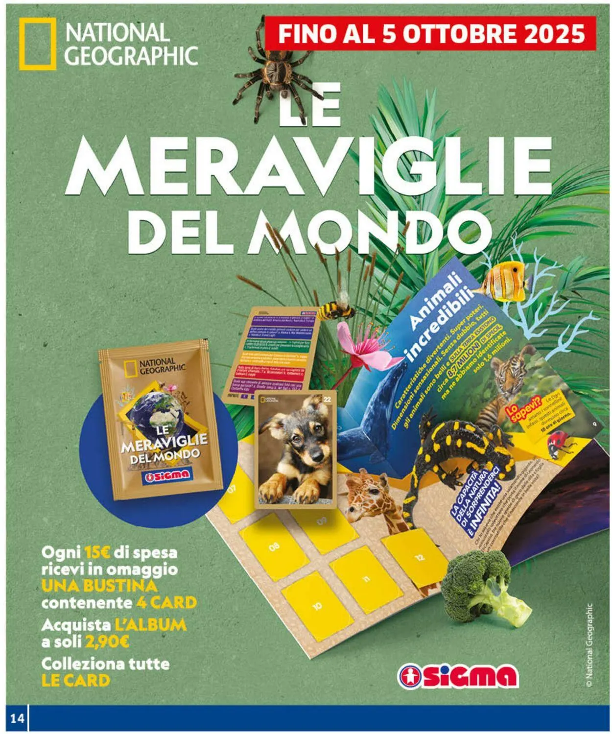 Sigma - Roma Volantino attuale da 26 settembre a 6 ottobre di 2025 - Pagina del volantino 14