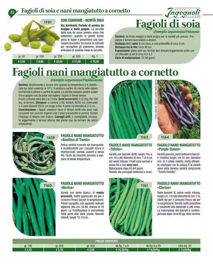 Catalogo guida 2025 da 20 gennaio a 31 dicembre di 2025 - Pagina del volantino 34