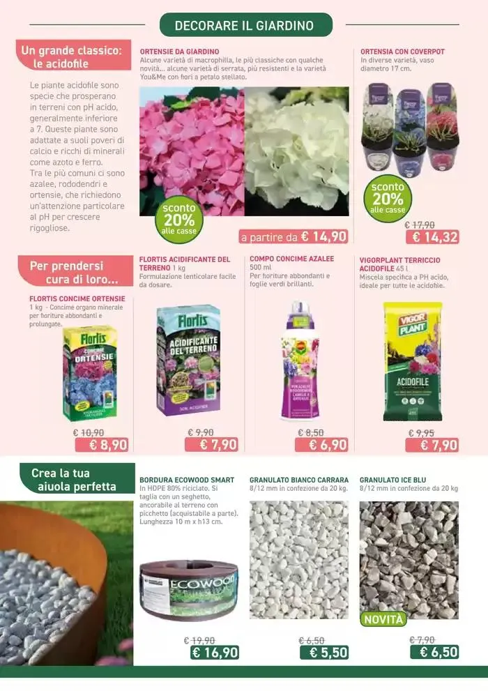 Festa di Primavera da 13 marzo a 13 aprile di 2025 - Pagina del volantino 2